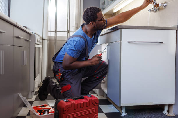 Best Plumbing Services Near Me  in Jenison, MI